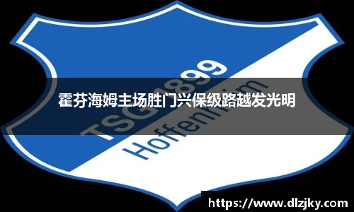 霍芬海姆主场胜门兴保级路越发光明