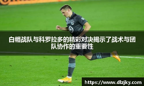 3377体育官网